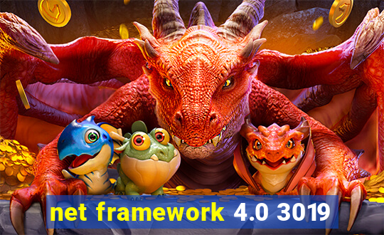 net framework 4.0 3019